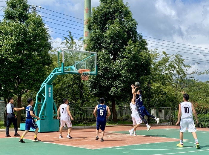 球赛照片 (1)_副本